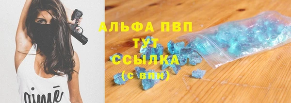 прущие грибы Абаза