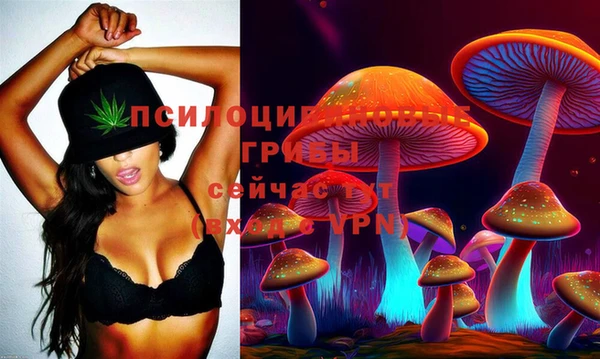 прущие грибы Абаза