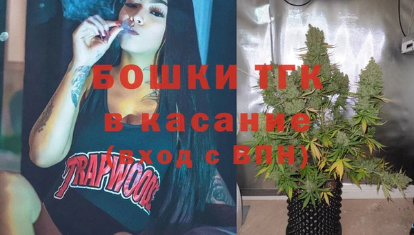 прущие грибы Абаза