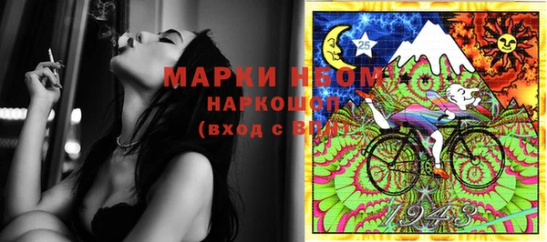 прущие грибы Абаза
