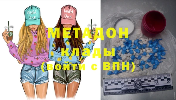 прущие грибы Абаза