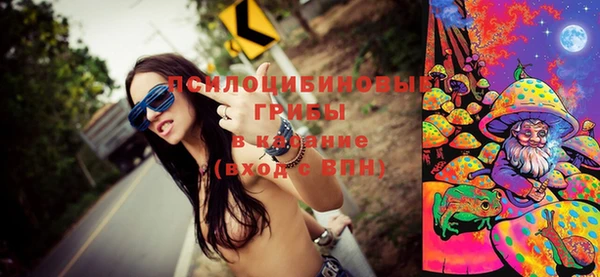 сатива Абинск