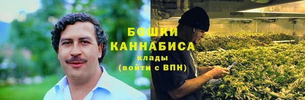 прущие грибы Абаза