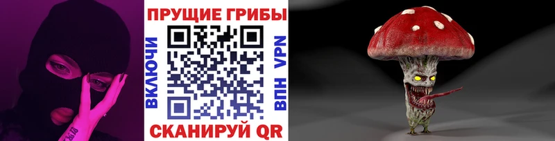 где продают наркотики Ува Галлюциногенные грибы прущие грибы