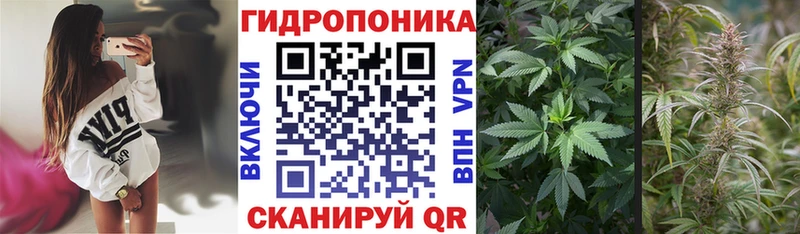 Бошки Шишки White Widow  купить наркотики цена  Ува 